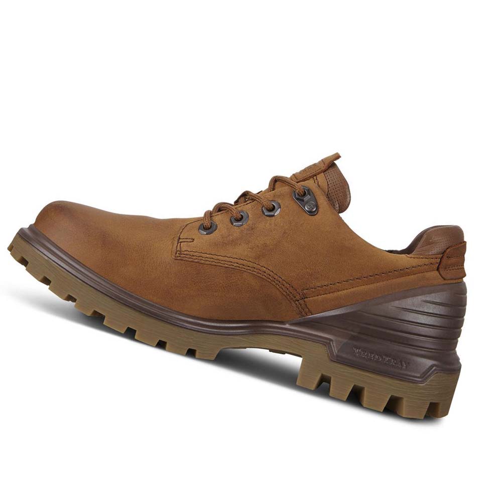 Ecco Tredtray Hiking & Trail Herre Brune | NO 575PJJ